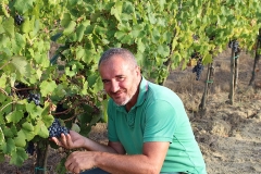 LucaTiberini